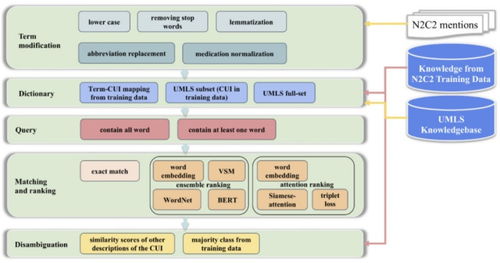 自然語言處理技術在醫學人工智能領域的應用與軟件開發